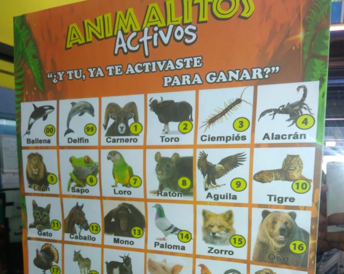 los animalitos resultados 