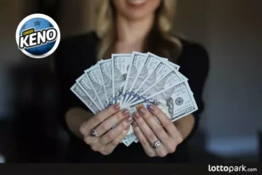 كينو مقابل بينجو