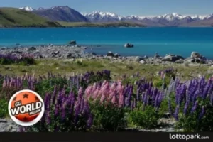 Top Things to Do in New Zealand