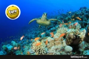 Лучшие коралловые рифы